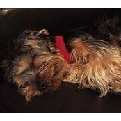 Milo Storch's photo