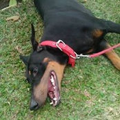 Alan Sabarillo's photo