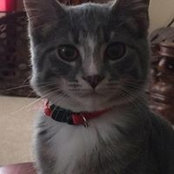 Gail Feige's photo