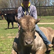 Chase Runge's photo