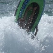 Shannon Webb's photo