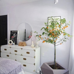 Customer Submitted Favorites - Decorative Accents