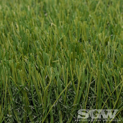 Imperial Fescue Green Thatch - Products