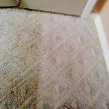 Carpet Cleaning