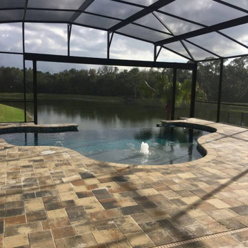 Negative Edge Pool with Tanning Ledge - Bubbler