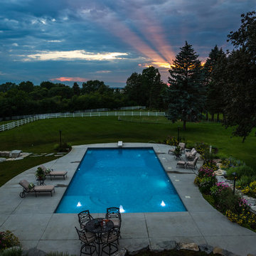 Backyard Pool, Patio, Perennials, and FUN in Barrington, IL