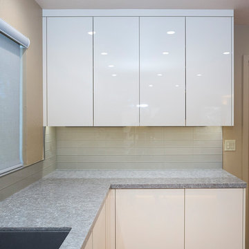 Lafayette Ultra-Modern Kitchen