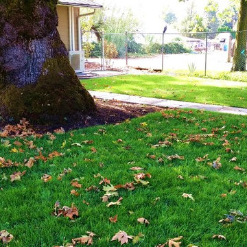 Before & After Master Gardener Landscape Makeover Lawn Reduction & Rain Gardens