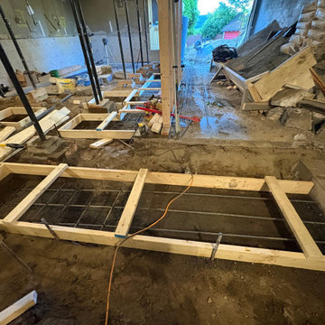 IN PROGRESS - EASTERLIN‘S RESIDENCE - BASEMENT REMODEL