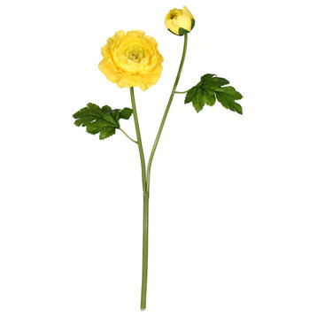 19" Yellow Ranunculus Stem 6/Pk