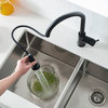 Casa Single Handle Pull Down Faucet, Matte Black, W/O Soap Dispenser
