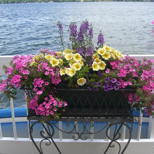 window boxes and planters