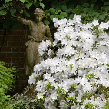 Rhododendron in Bloom with Statuary