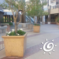 Concrete Classic Square Planter - Outdoor Pots And Planters
