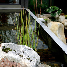 Pools & ponds
