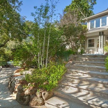 New Bluestone Entry Steps