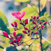 Katie Mancuso's photo