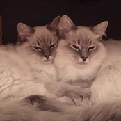 Sergey Karzoff's photo