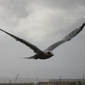 Lillian Valentin's photo