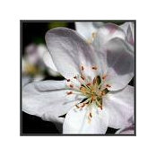 Barb Beuning's photo
