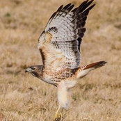 Hugh Duguid's photo