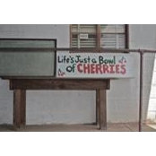 Margie Ivester's photo