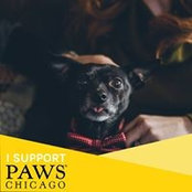Samantha Bankmann's photo