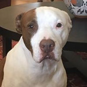 Mark Beckloff's photo