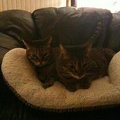 Catherine Kilpatrick's photo