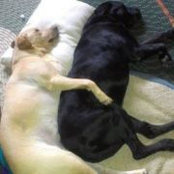 Connie Ott's photo