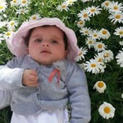 Dina Abu Hassan's photo