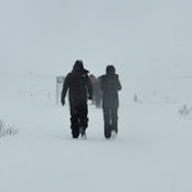 Andy Haynes's photo