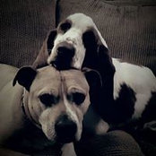 Ashli Christen's photo