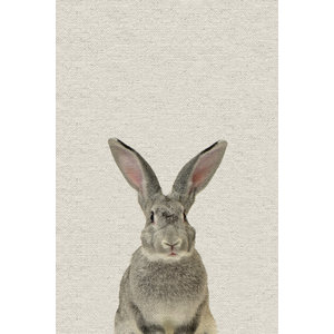 Rabbit Wrapped Canvas Photograph by Vic Schendel Cottontail