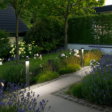 Back yard landscape