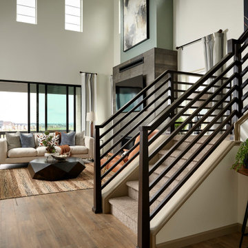 Tri Pointe Homes - Sterling Ranch 3503
