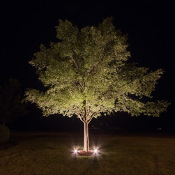 Outdoor Lighting in Westhave - Outdoor Lighting