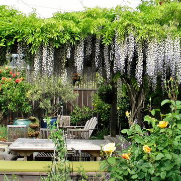 Rockridge Cottage Garden