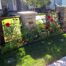 Fence Ideas