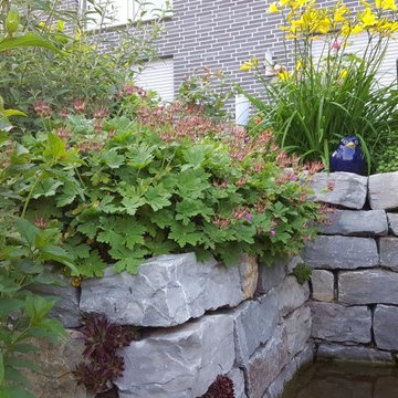 Blütenvielfalt im Hausgarten