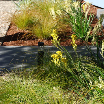 Contemporary Bungalow Front Yard