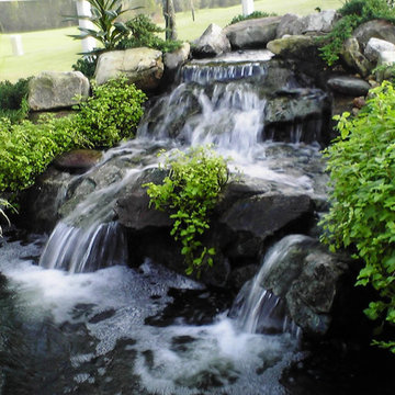 Florida Friendly Landscaping