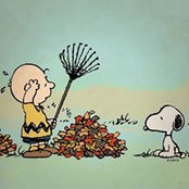Krista Shamburger's photo
