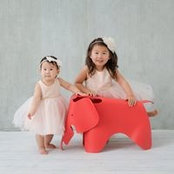 Jenny Chung's photo