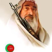 Hosam M. Abo Talb's photo