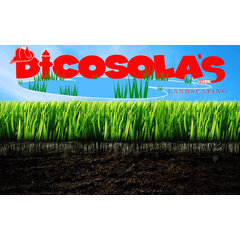 Dicosola's Landscaping