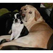 Donna Tennier's photo