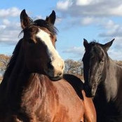 Foto von Natascha Oertel