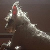 Sophie Bronner's photo