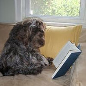 Rebecca Beyer's photo